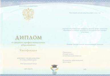 Диплом Экономического бизнес-колледжа СпецБланк 2014-2020 годов